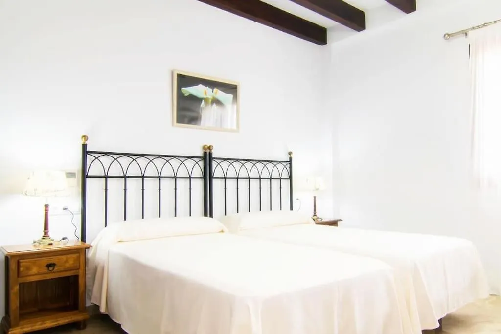 Villa Palmeral In Petra
