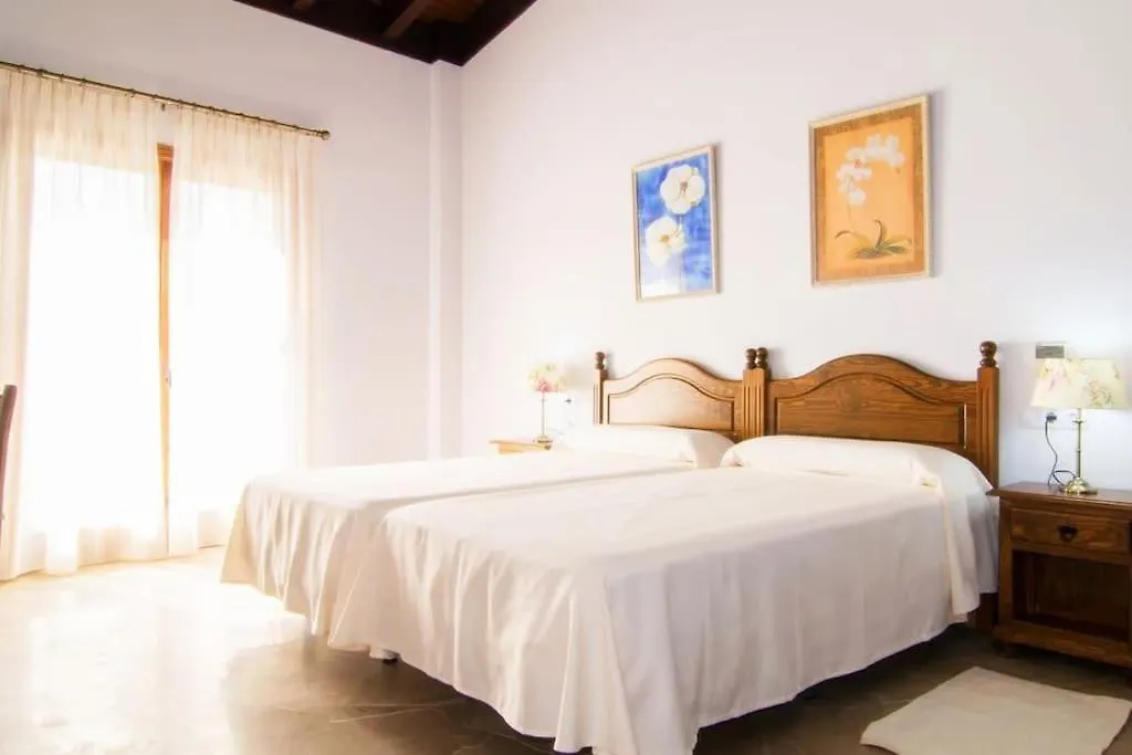 Villa Palmeral In Petra
